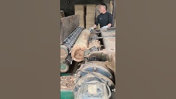A skilled carpenter uses a debarking machine to remove the bark from a tree