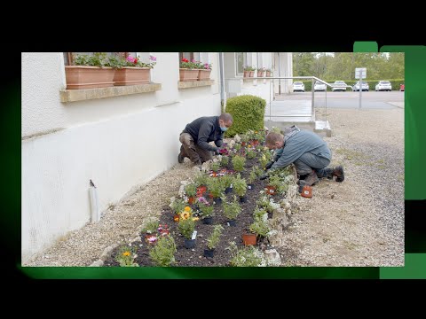Miniature de la vidéo ESPACES  VERTS - Je découvre la richesse des métiers sur le territoire Argonne-Meuse