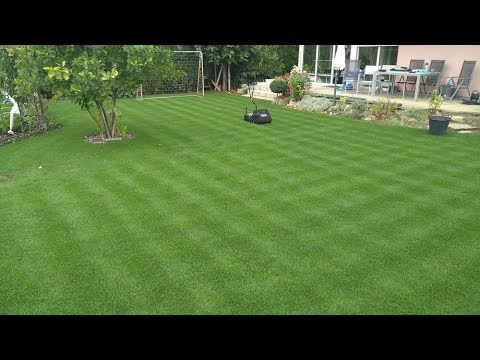 Video: Kedy kosiť trávu po trávniku?