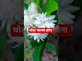 सच्ची बाते ये दुनिया सीधे लोगो के लिए नहीं है #trendingvedio #shortsviral #motivation 🥀🌹