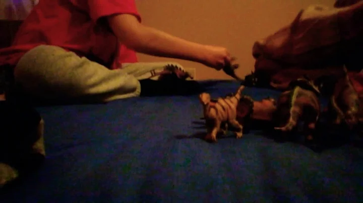 Garfield adventures with Robert Callaway