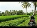 Rice Terrace Instagram Mission - Ubud, Indonesia VLOG