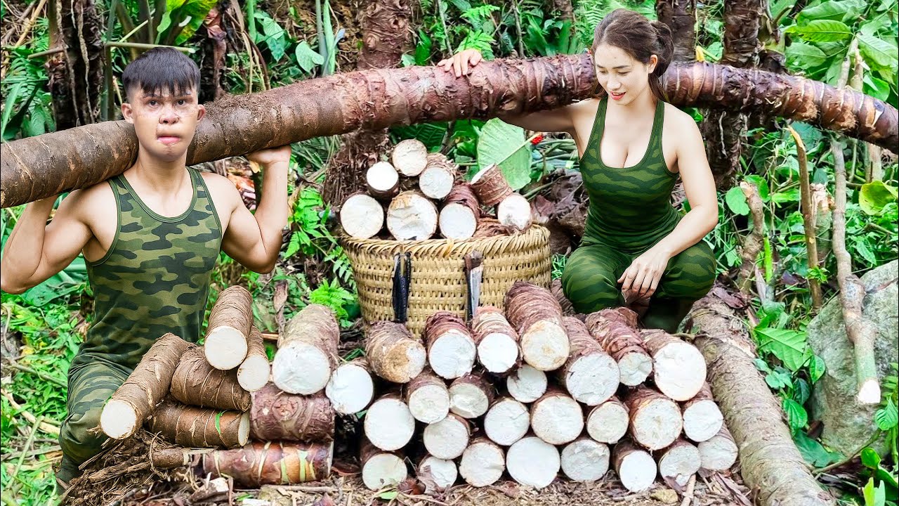 Harvesting Giant Cassava Root Weighing 100kg, 10m Long To Sell At The Market – Survival Life