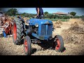 ||VINTAGE|| Mietitura grano con Fordson Major &amp; Laverda ML 5 BR