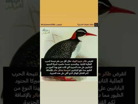 بسبب الحروب والصرعات دمرت الحياة البرية فى بعض بلدان العالم