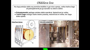 Jaké jsou lesy?
