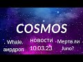 Космос новости от 10.03.23 Whale раздали аирдроп, Injective + Astroport