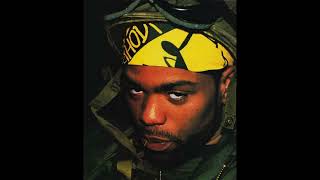 [FREE] Method Man - Biggie Smalls - Big L "1993" prod. Api6
