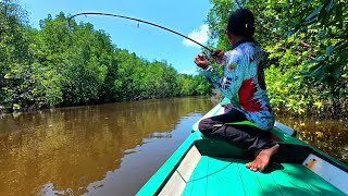 The ultralight rod was battered and battered by big fish until the reel screamed loudly.
