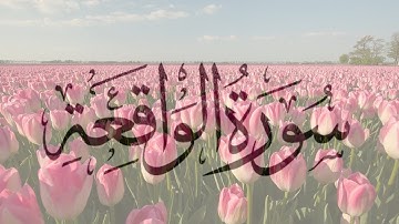 سورة الواقعة بصوت الشيخ اسلام صبحي #القرآن_الكريم #القرآن #راحة_نفسية #اسلام_صبحي #سورة_الواقعة