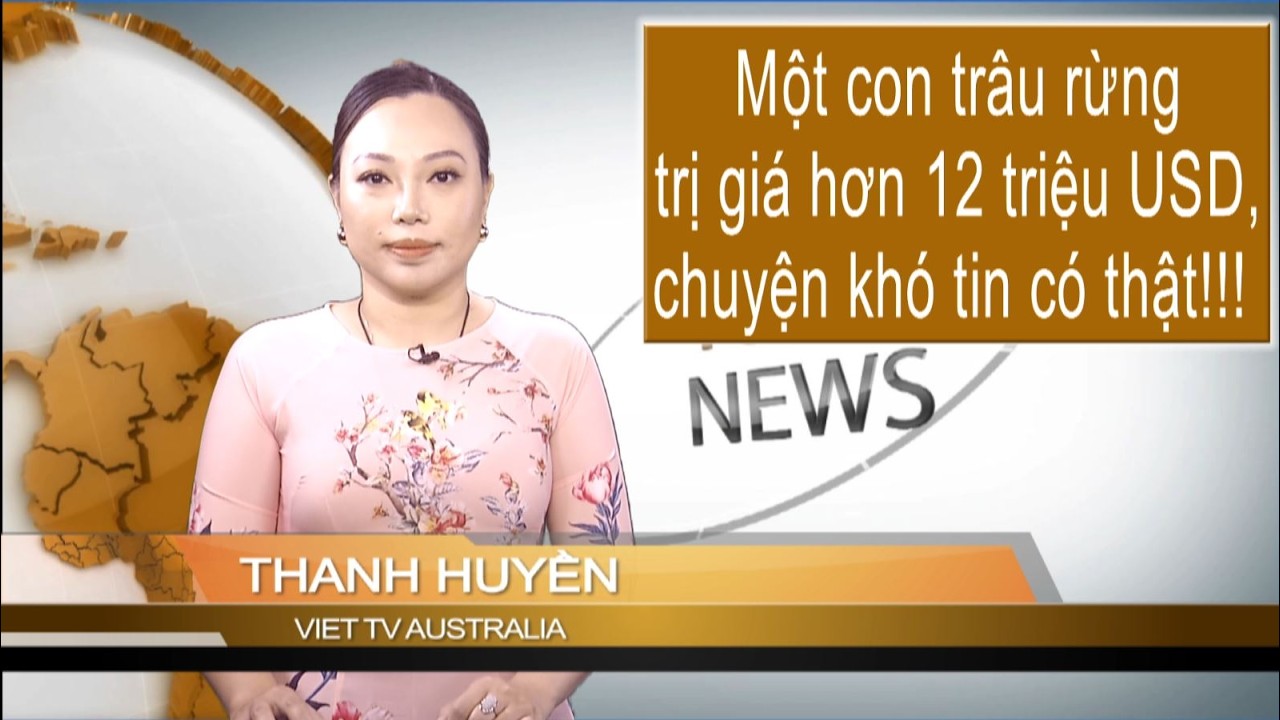 TIN 10AM 06-03-2026: Một con trâu rừng trị giá hơn 12 triệu USD - chuyện khó tin có thật!!!