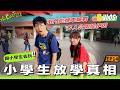 2026小學生課後調查👶🏻復刻多人公園捉伊因 🏃🏻新興屯門陀螺熱點🎈【地Cult遊EP.14】｜Pomato 小薯茄