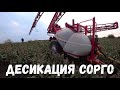 Десикация Сорго (Аляска) от компании NUSEED/Сушим Сорго Десикантом/Подсушивание Сорго.