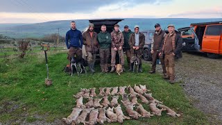 Ferreting ITS OUR WAY OF LIFE