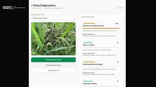 Local-AI Plant Scanner Overview - Global Innovation Build Challenge V2