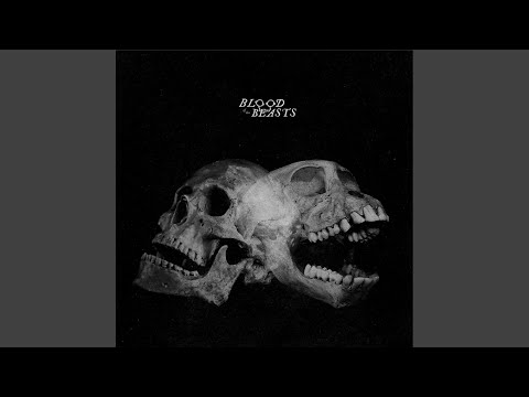 Sect (15) — Skies Wide Shut