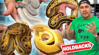 Celebrity Holdbacks From Last Season 2021 Net Worth