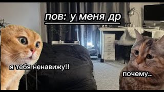 пов: у меня др! | мемные котики.