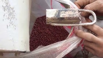 ANGELON color sorter/red bean color sorting machine