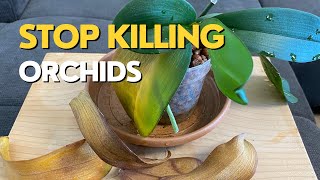 Stop Killing Your ORCHIDS | Orchid Leaves Turning Yellow