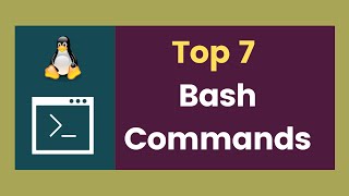 Top 7 bash commands for Unix/Linux and Mac users