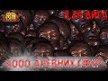 ПОКРУТИЛИ 6000 ДРЕВНИХ СФЕР