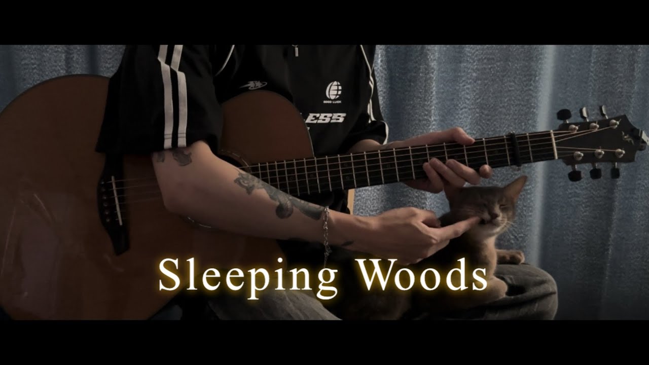 One Cat in a Silent Forest. | Satosi gogo - Sleeping woods | Guitar cover