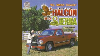 Video thumbnail of "El halcón de la sierra - El Halcon"