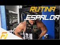 RUTINA PARA VOLUMEN EN ESPALDA EN 4 SEMANAS!!!