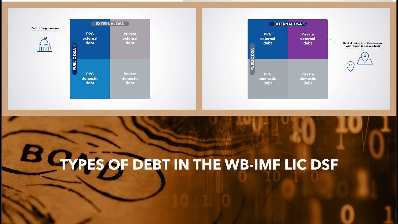 Types of Debt in the WB-IMF LIC DSF