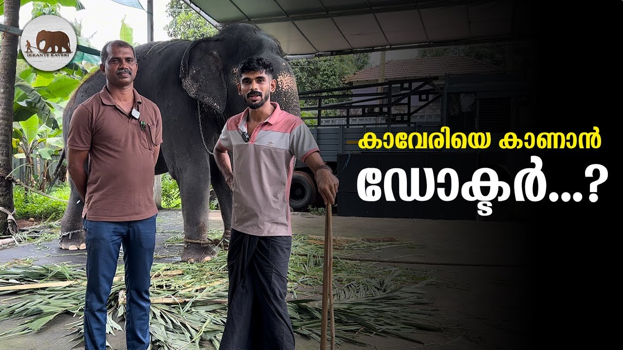 കാവേരിയെ കാണാൻ ഡോക്ടർ...?