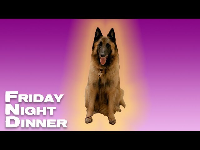friday night dinner jim dressed as dog fave gifset I have made ever, friday night dinner is the best @asdfghjklboredom on Tumblr