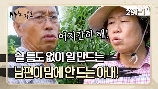 [사노라면] 291-1 밥 먹고 일, 잠자고 일! 쉴 새 없이 일만 하는 남편 때문에 고생하는 아내!