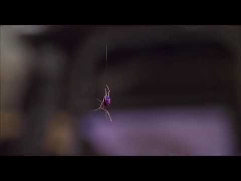 【MAD】旧スパイダーマン ＯＮＥ OK ＲＯＣＫLost In Tonight