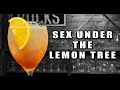Easy Sex Under The Lemon Tree Cocktail | Booze On The Rocks