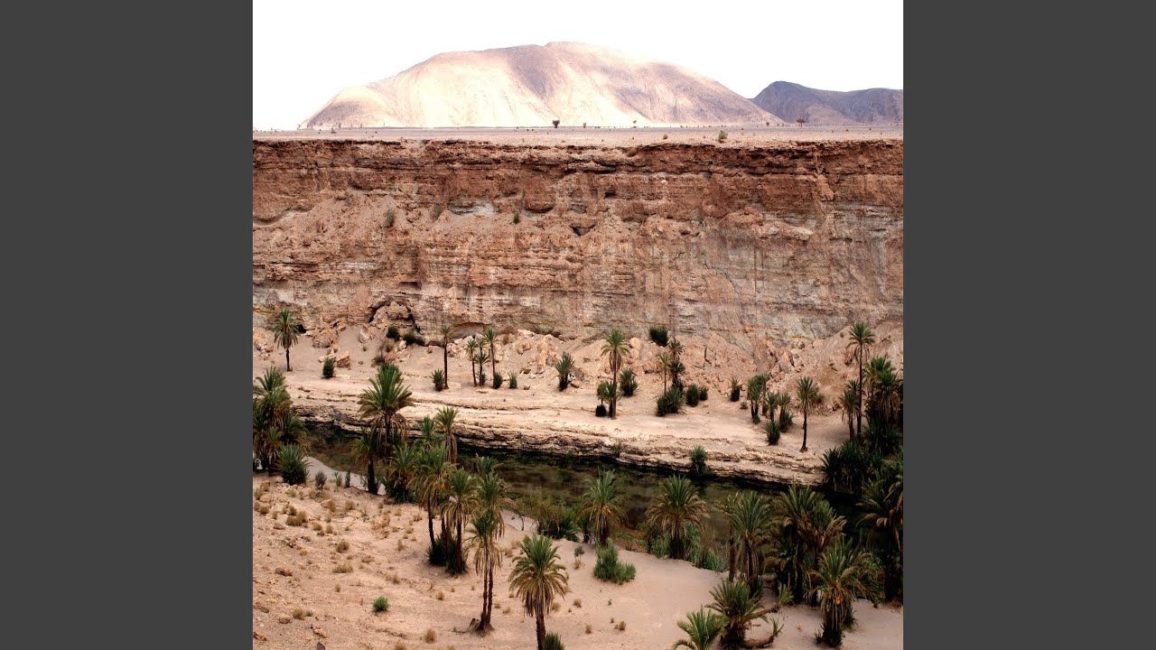 تولمو ياهل المكاشيت والصيد