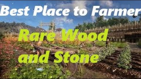 Myth of Empires- Guide! Best Place to Fine Rare Wood & Stone!