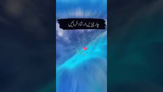 Nabi Pak S.A.W ne farmaya Abu Huraria | Islamic Videos | Islami aqwal viral shorts subscribe
