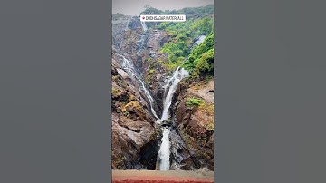 Dudhsagar Waterfall Latest Video | 20 June