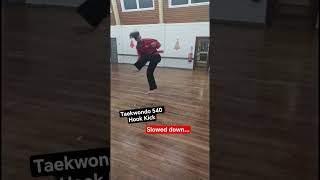 Taekwondo 540 Hook Kick #martialarts #taekwondo #shorts #ytshorts #trending #viral #reels #yt #sub