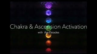 Celebrity Chakra & Ascension Activation with the Pleiadians Net Worth