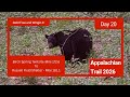A.T. Day 20 - Second Bear Sighting