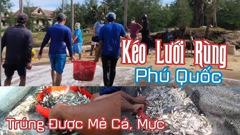 Nghề Biển | Kéo Lưới Rùng Ở Phú Quốc, Camera Dưới Nước Cận Cảnh