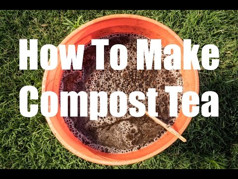Video: Information About Making Compost Tea