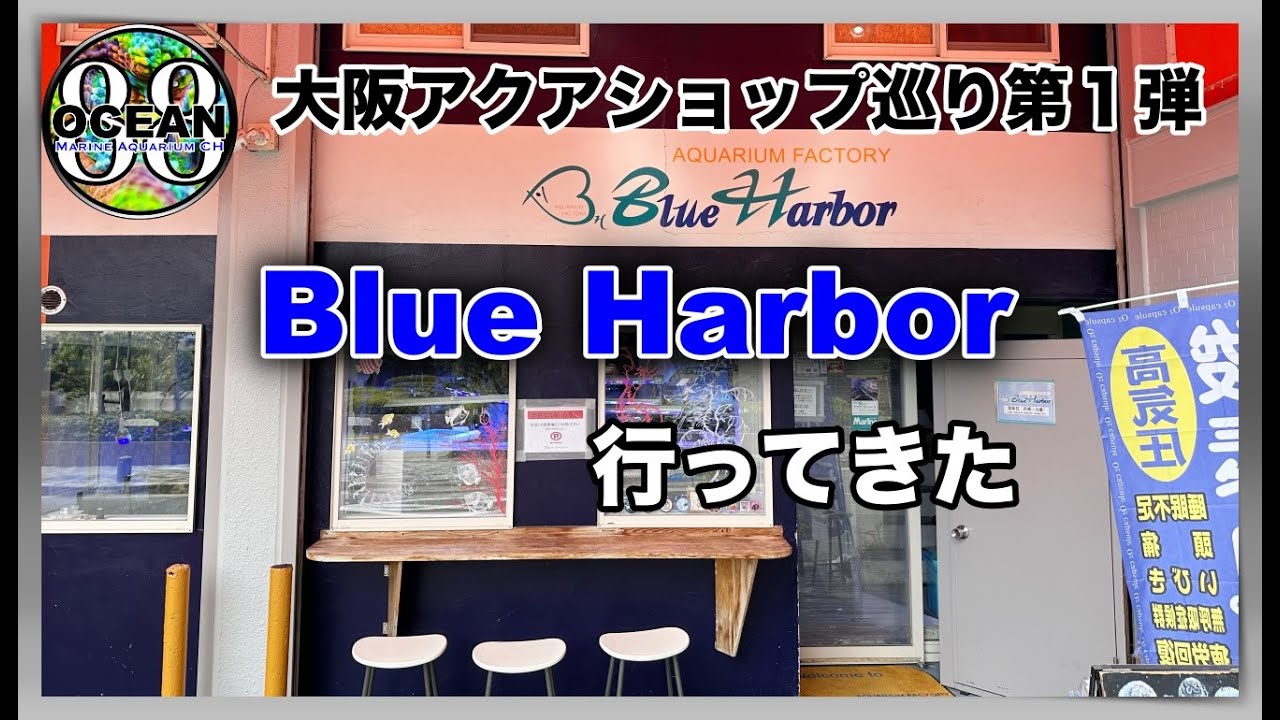 【海水魚水槽・サンゴ水槽】大阪アクアショップ巡り第１弾　Bule Harbor行ってきた