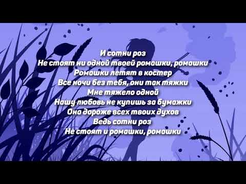 Текст песни «Ромашки» Валя Карнавал