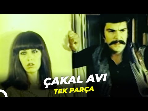 Çakal Avı | Eski Türk Filmi Full İzle