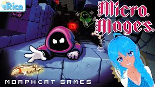 MICRO MAGES (NES/Evercade) gameplay - chaotic modern retro fun! | Rice Digital
