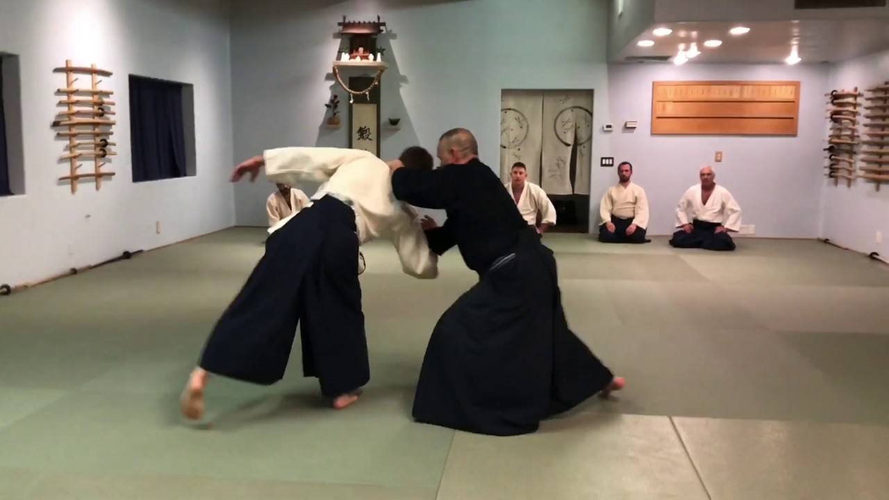Aikido: The Yin of Irimi Nage (Direct)