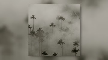 [FREE] Dark Sample pack "Greyed Out" (Travis Scott, Guitar, Don Toliver, Loop Kit)